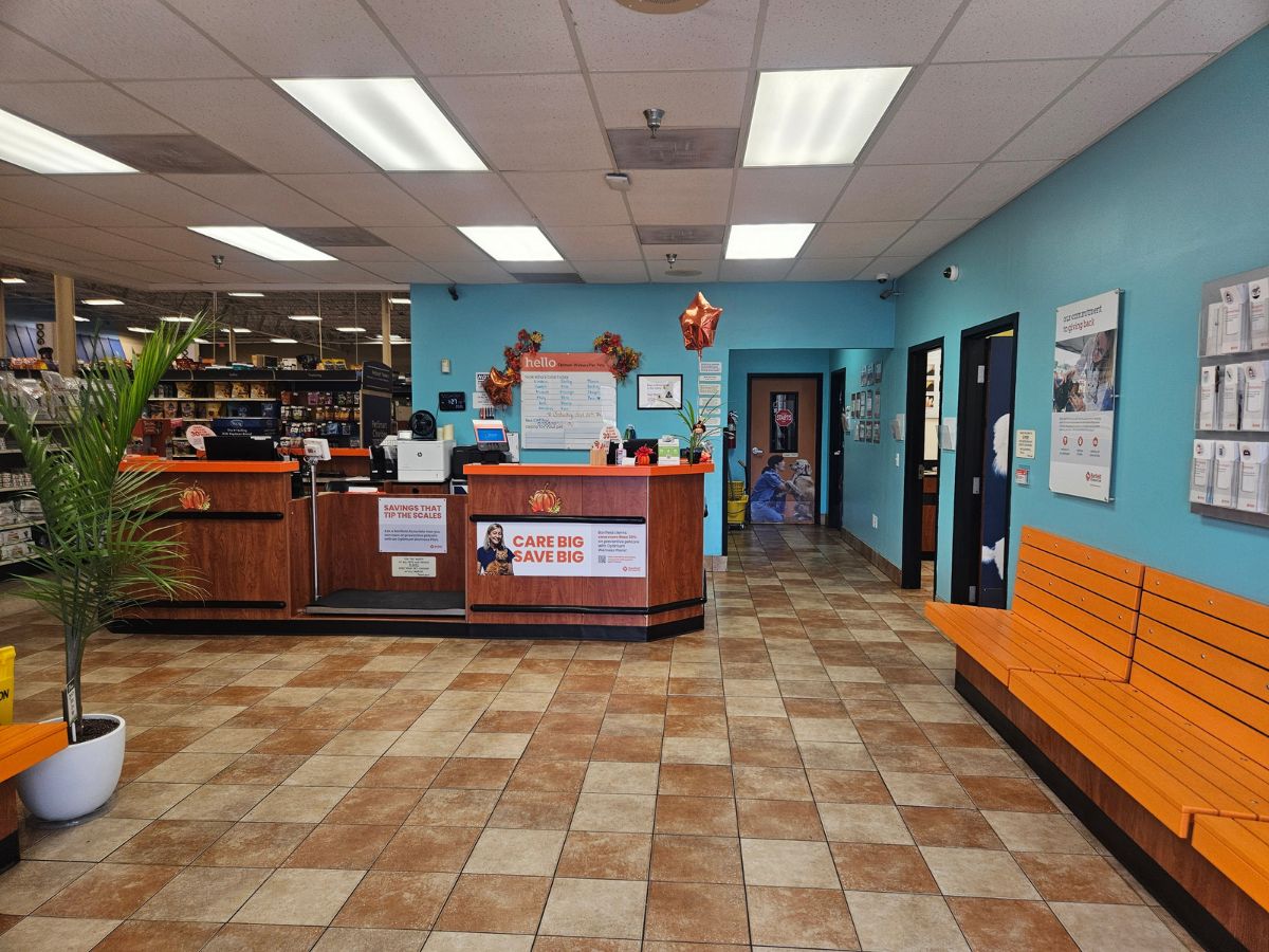 The Bel Air Banfield hospital waiting area