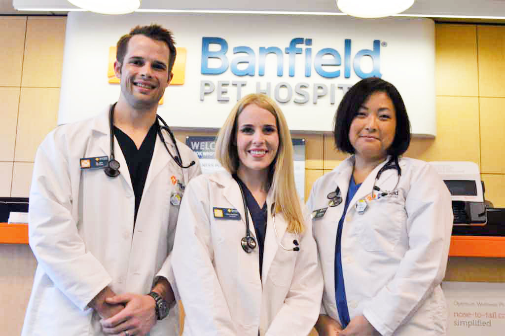 Veterinarians at the Highland Park hospital