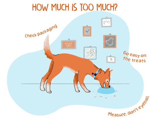 Illustration of of a puppy eating out of a bowl of food