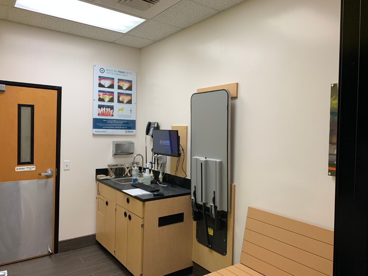 The Banfield - Austin SE exam room with table