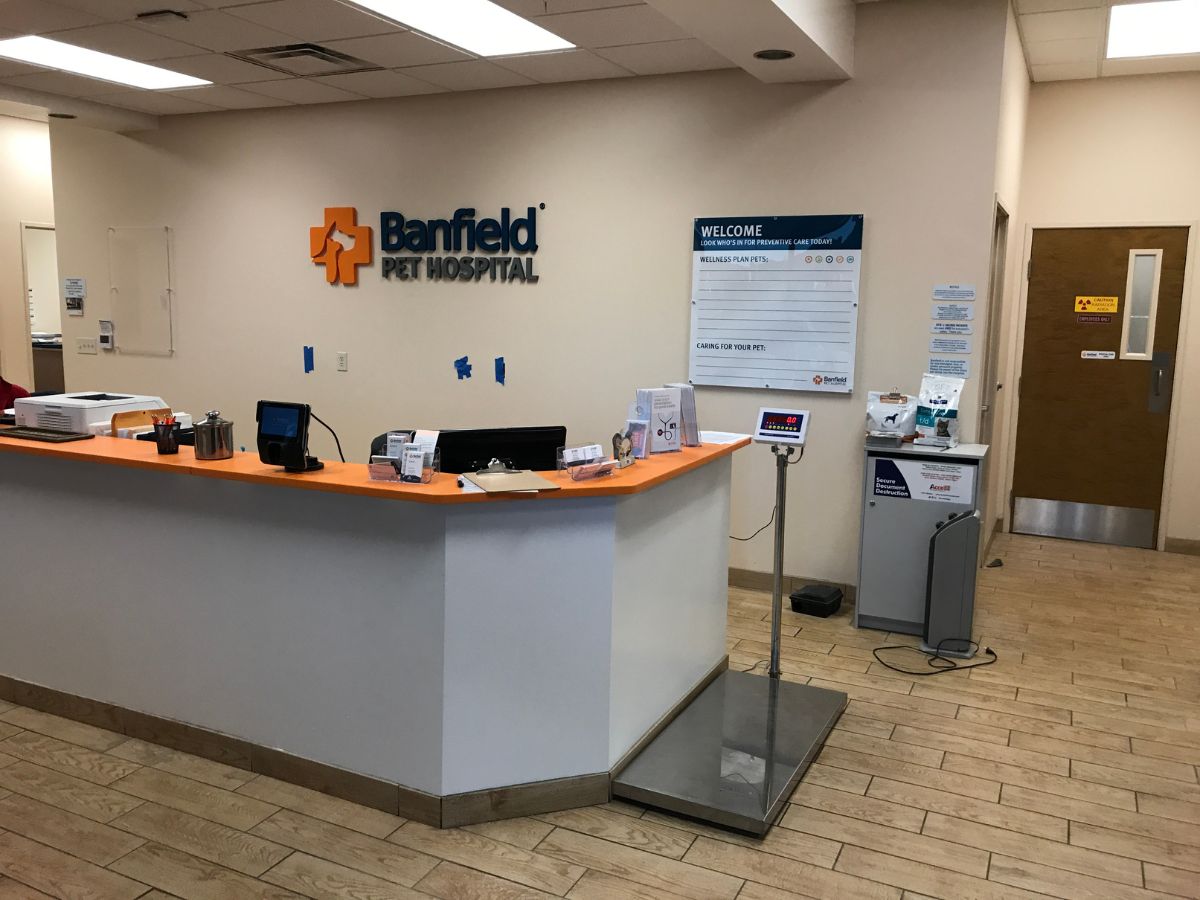The Banfield - Shea hospital front desk