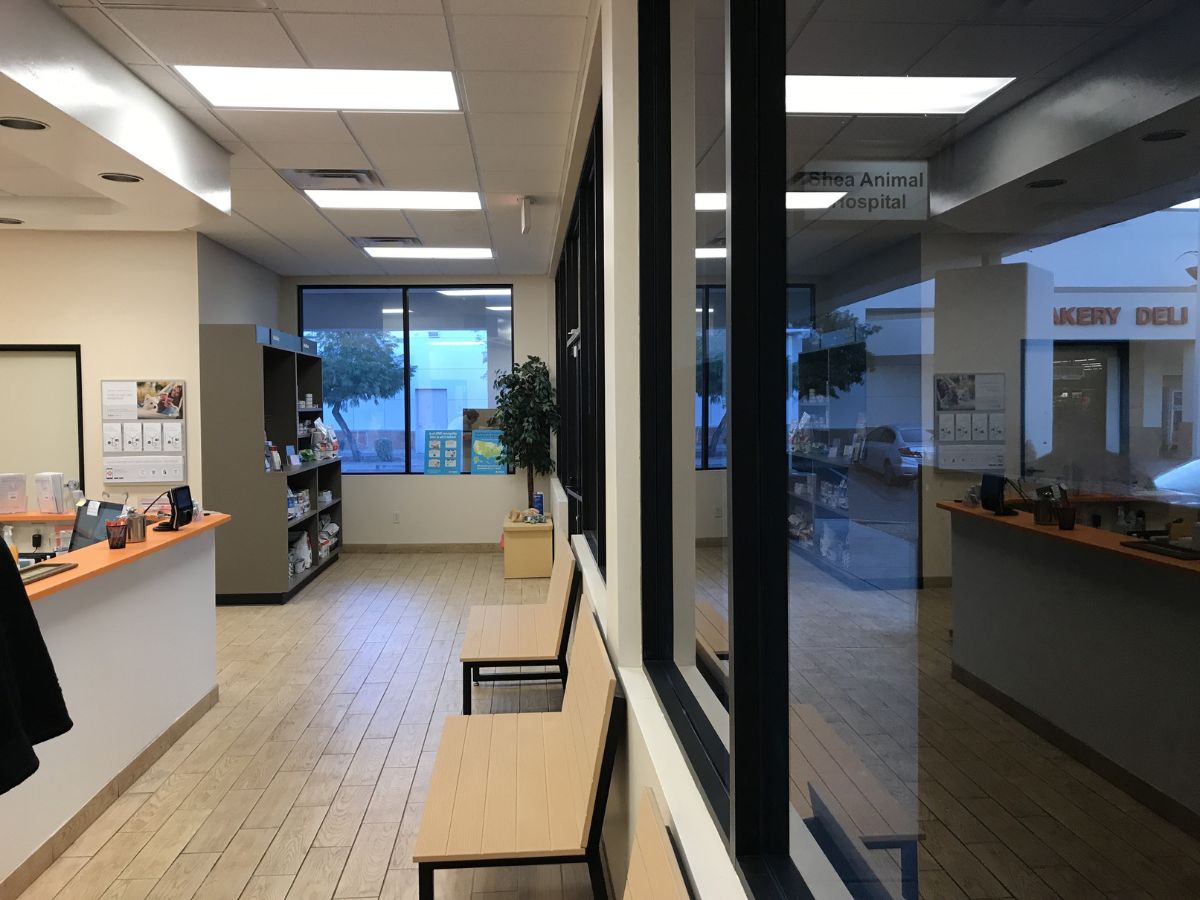The Banfield - Shea hospital front desk and lobby