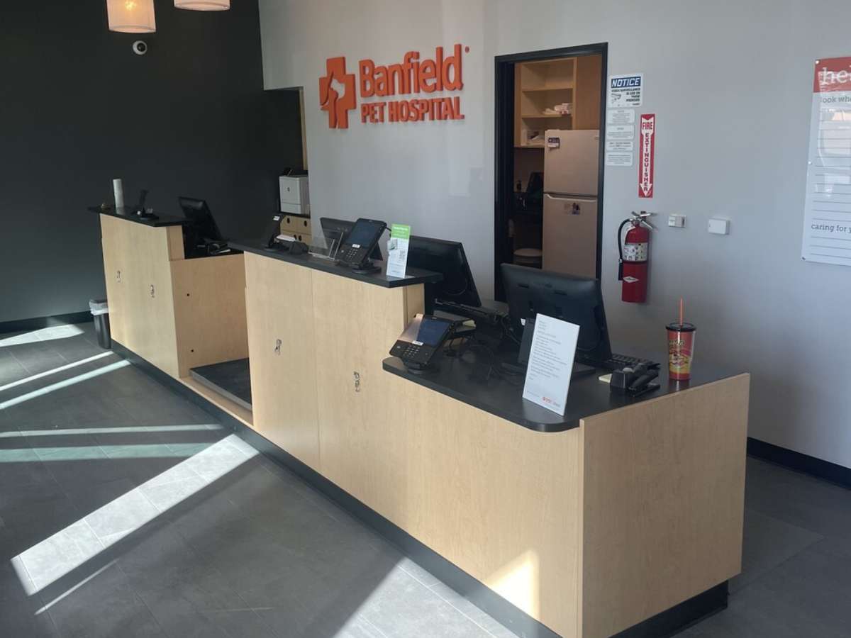 Inside view of the Avondale Fiesta Banfield front desk