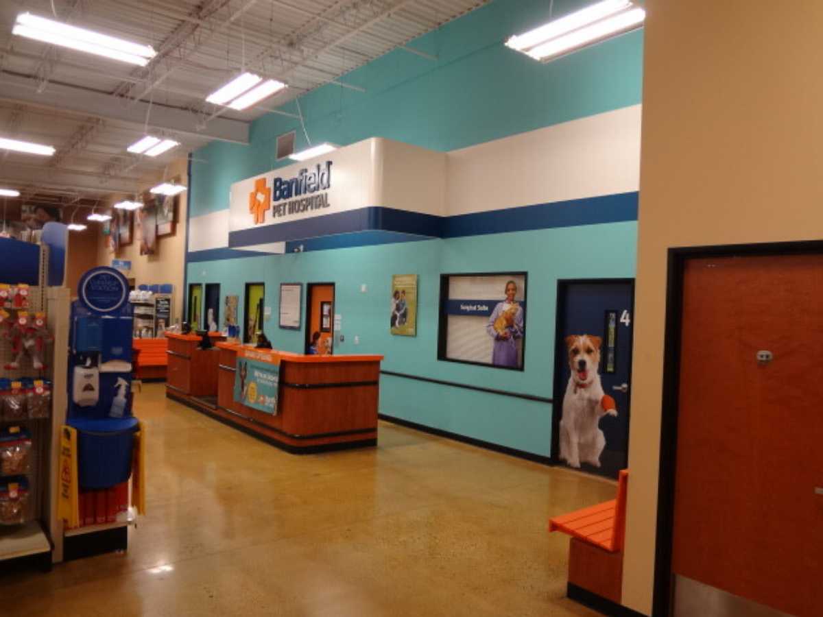 The Vernon Hills PetSmart and Banfield check-in area