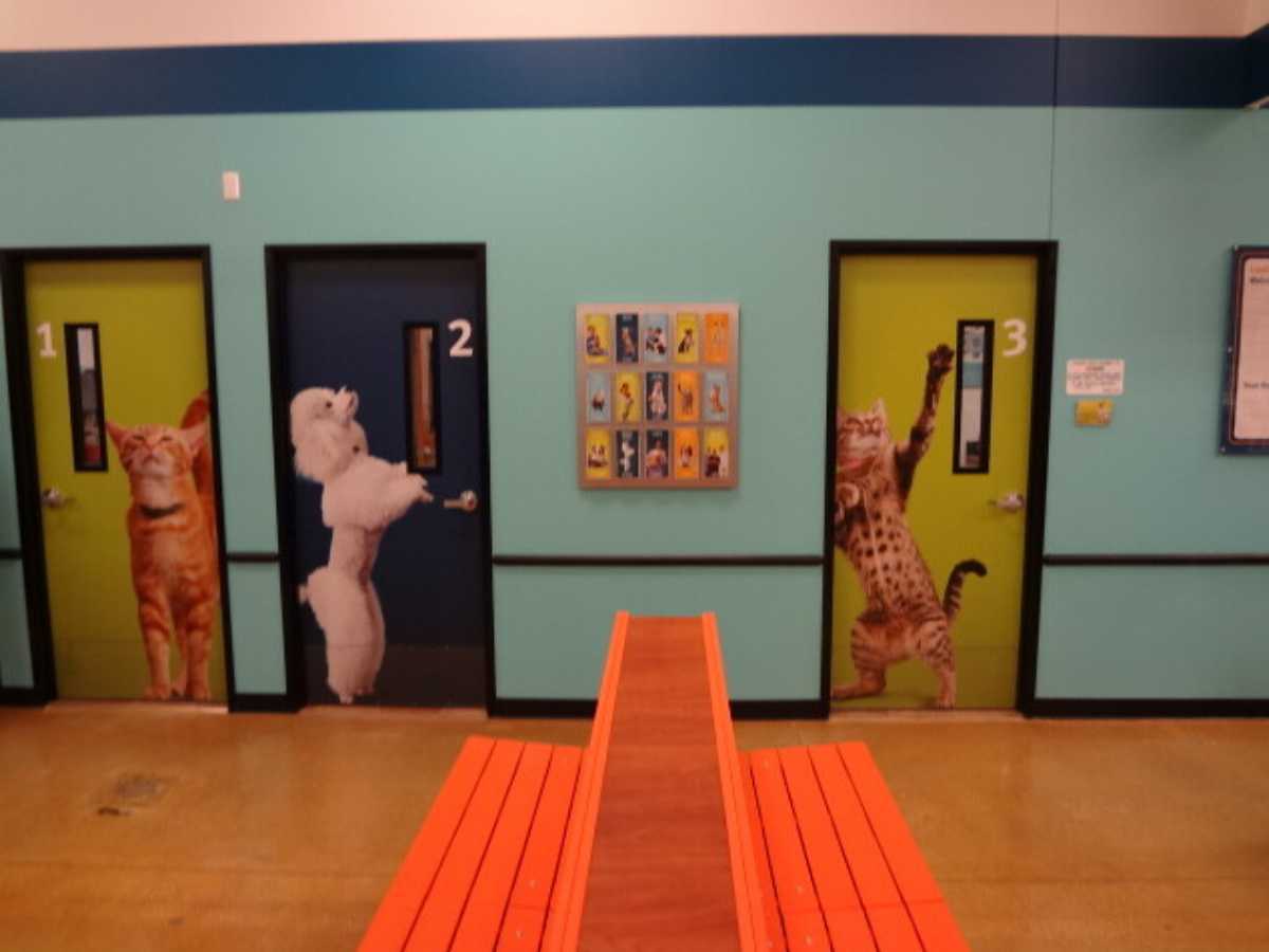 The Vernon Hills Banfield exam room doors