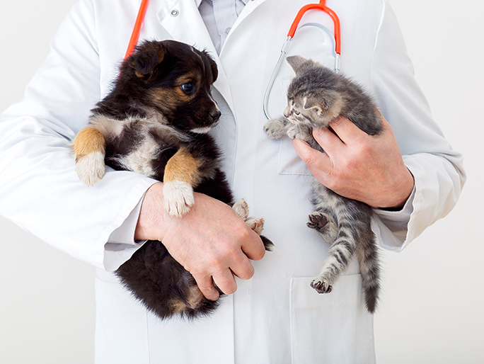 A Banfield veterinary professional holds a puppy in one hand and a kitten in the other
