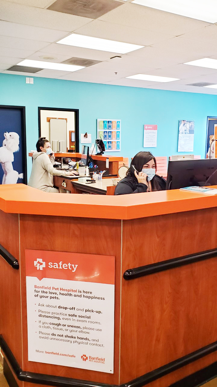 Banfield - Poland associates behind the front desk