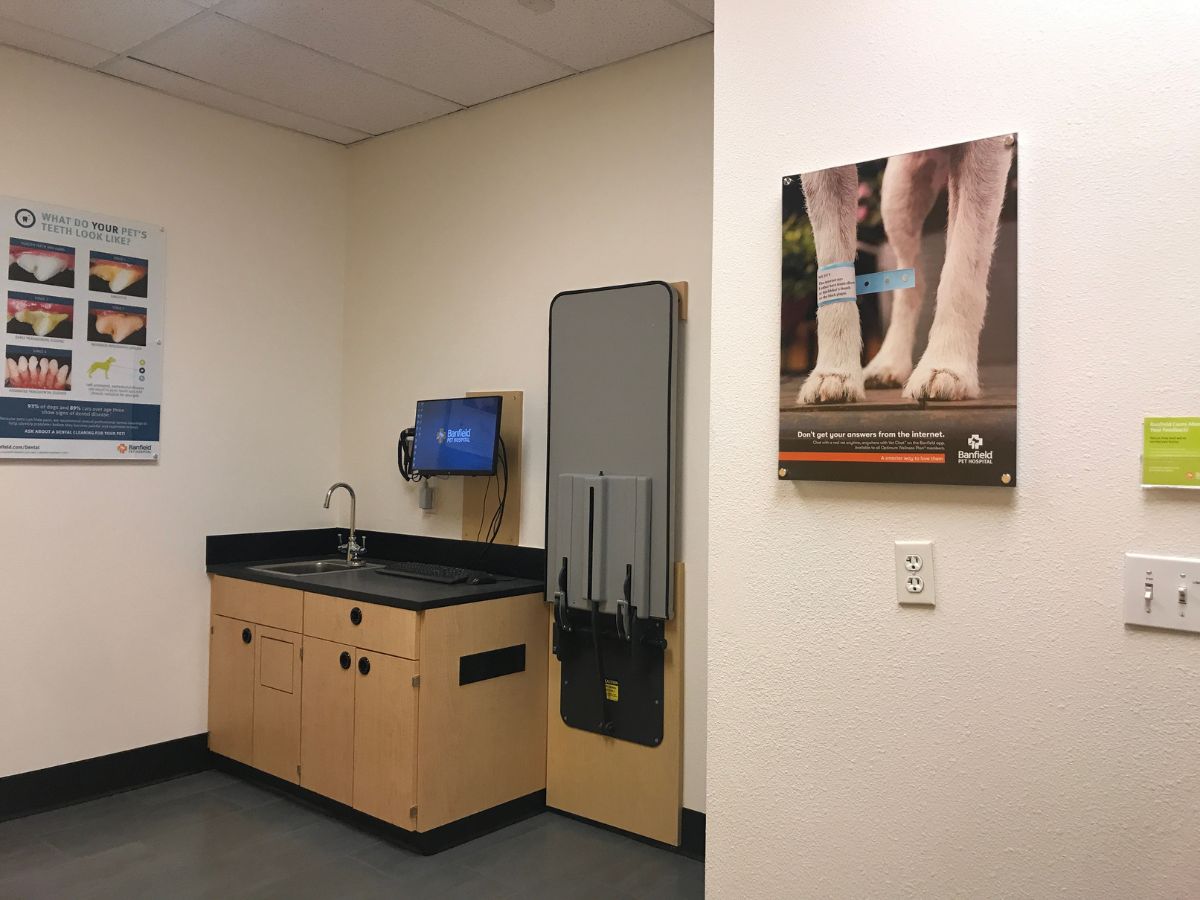 The Banfield Pet Hospital: Frisco North exam room with table