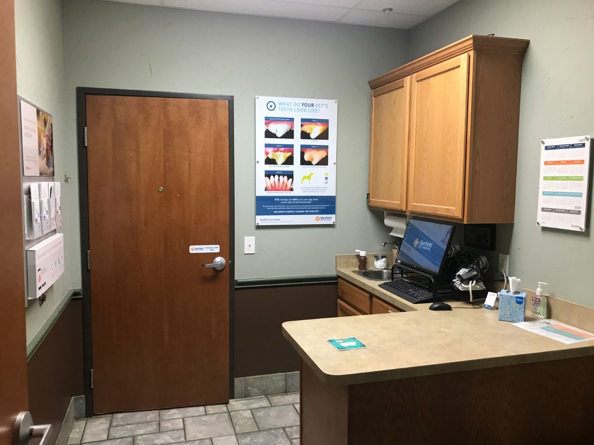 The Banfield Pet Hospital: Frisco North exam room with table