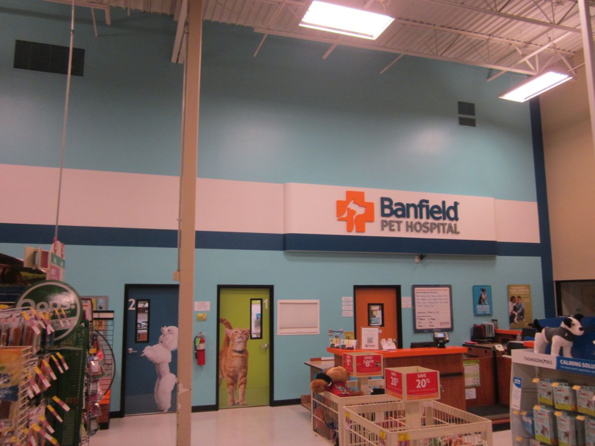 A view of the Frisco Banfield exam room doors