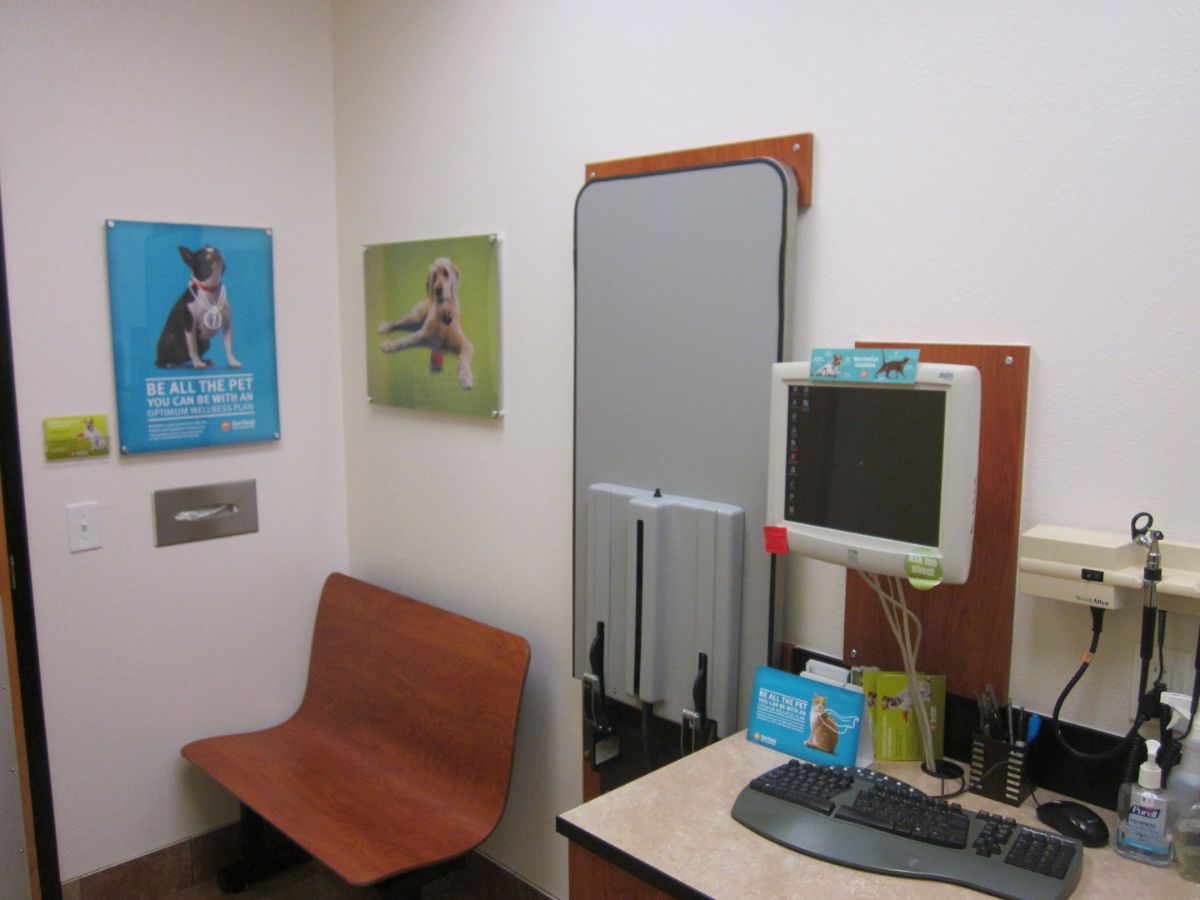 The Banfield Pet Hospital: Frisco exam room with table