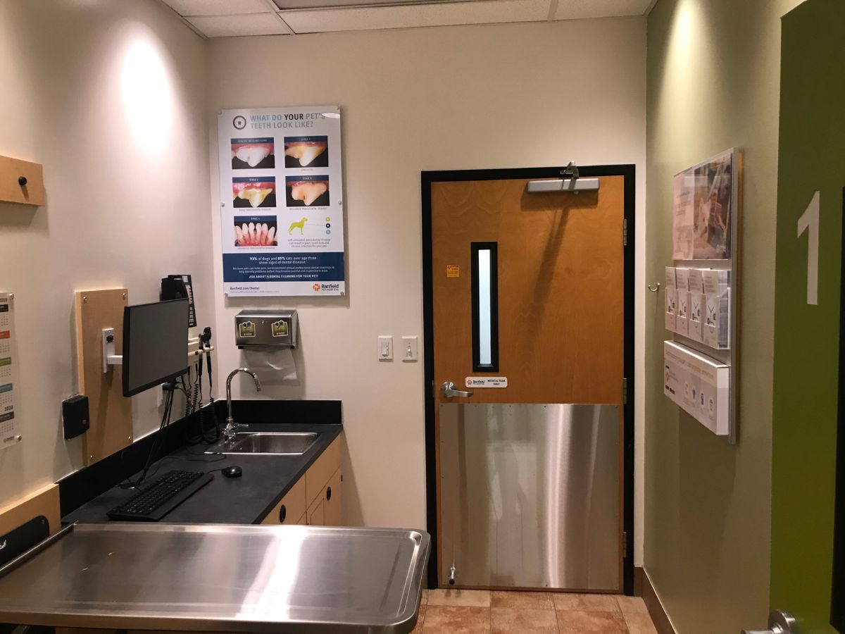 The Banfield Pet Hospital: Garland exam room with table