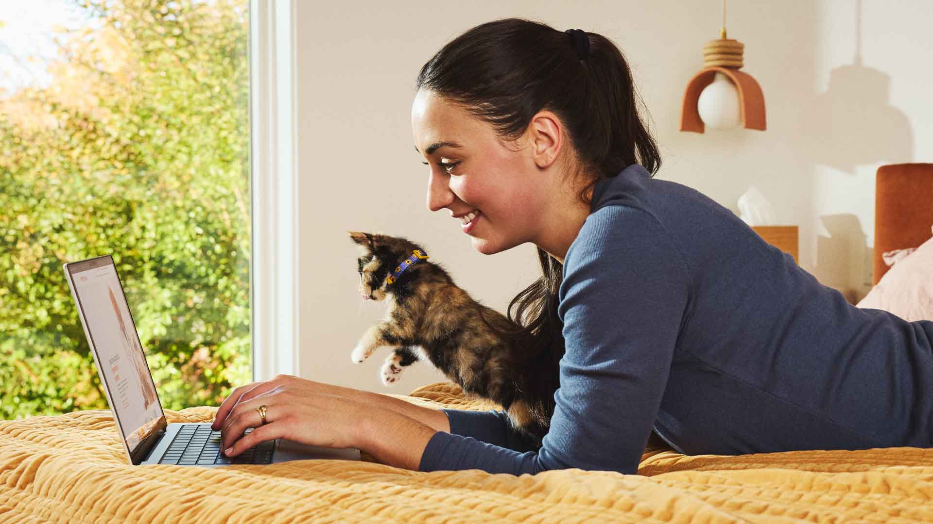 A woman on a bed with her kitten looking at a laptop screen