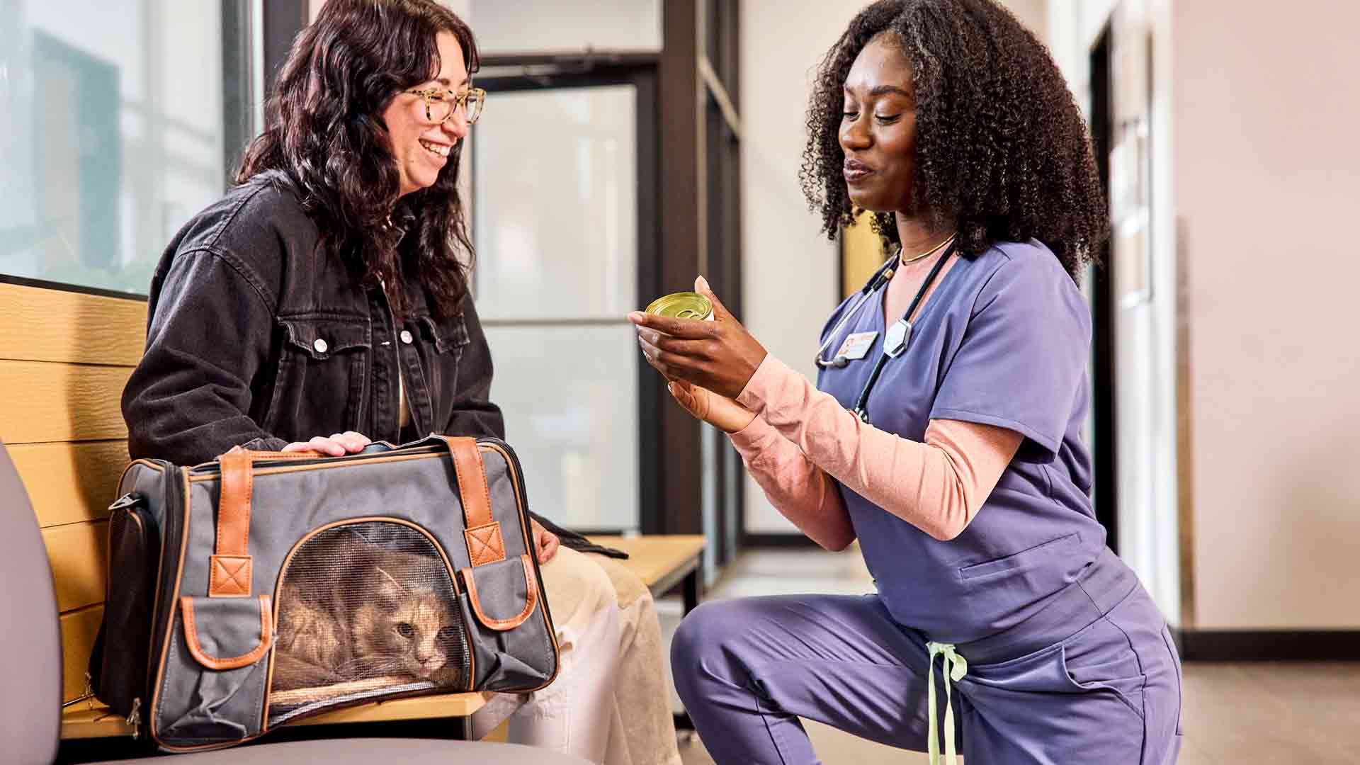 A veterinary technician talks to an owner next to her cat in a carrier