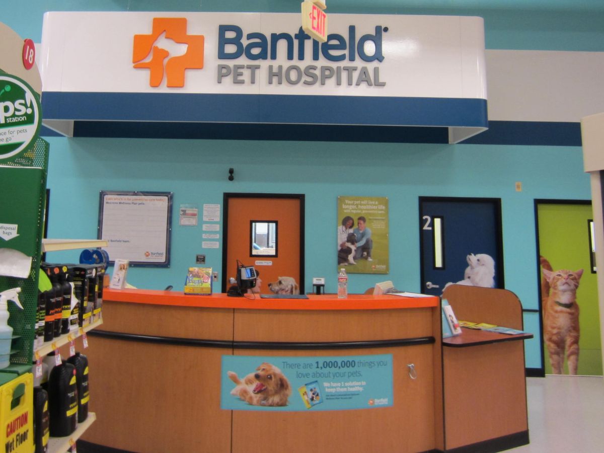 The Addison Banfield front desk and check-in area