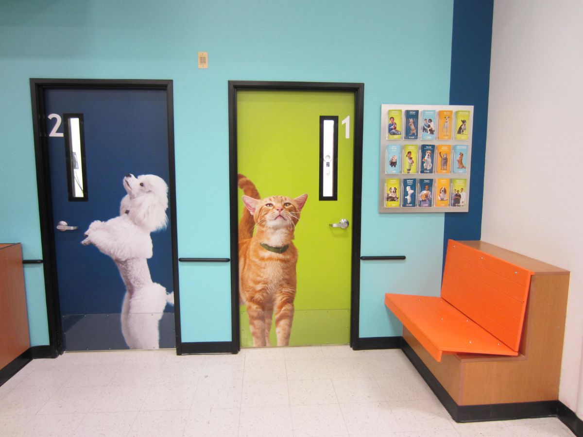 The exam room doors at Banfield - Addison