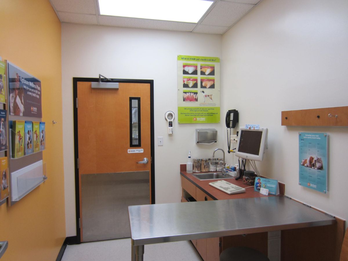 The Banfield - Addison exam room and folding table