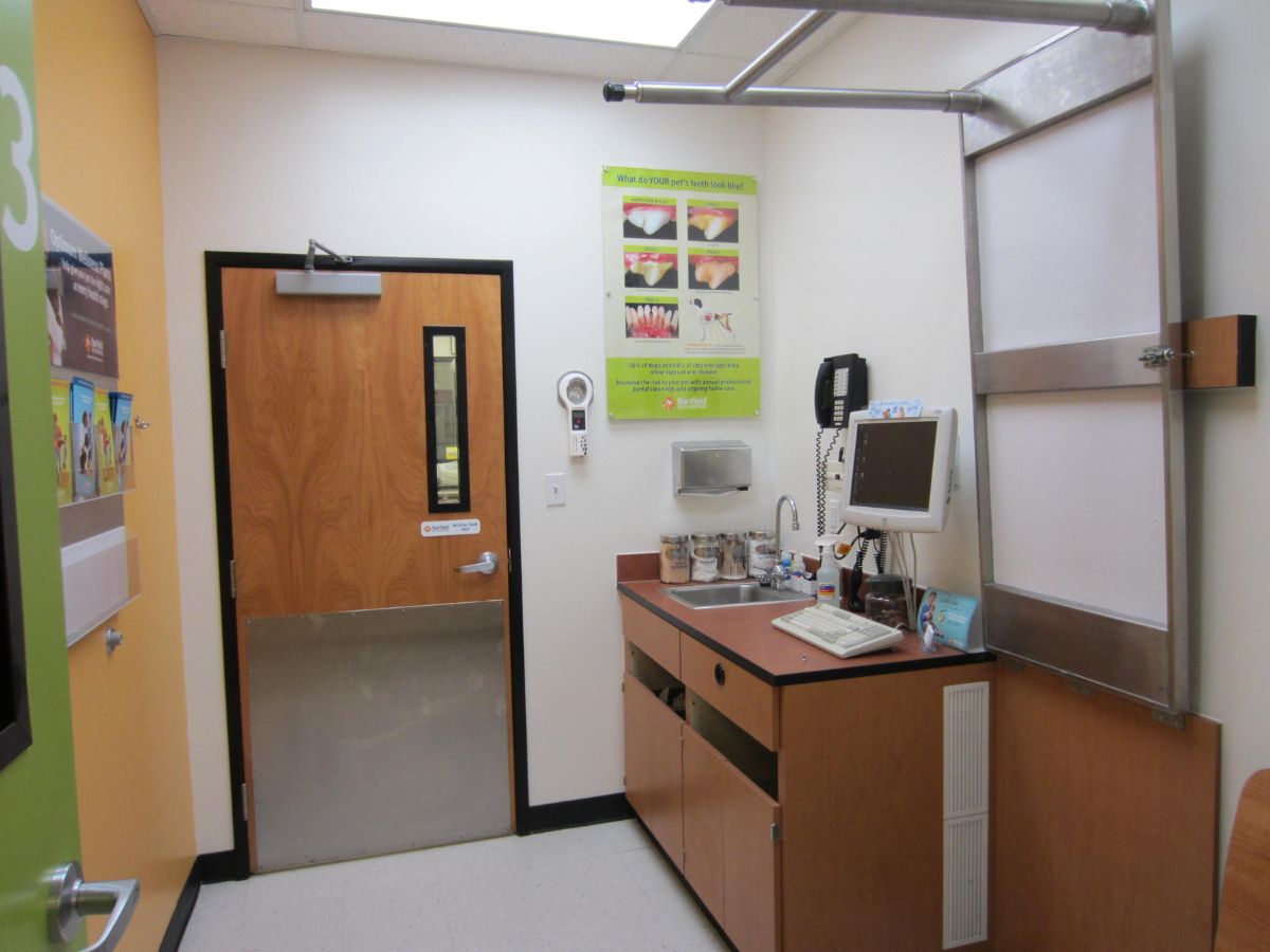 An alternate view of the Addison Banfield exam room