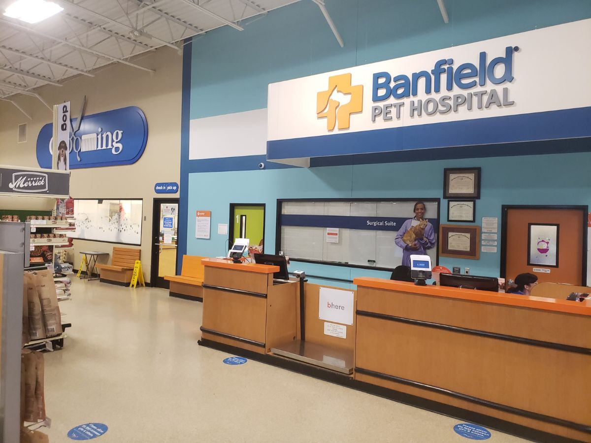 The Rockwall Banfield front desk and check-in area