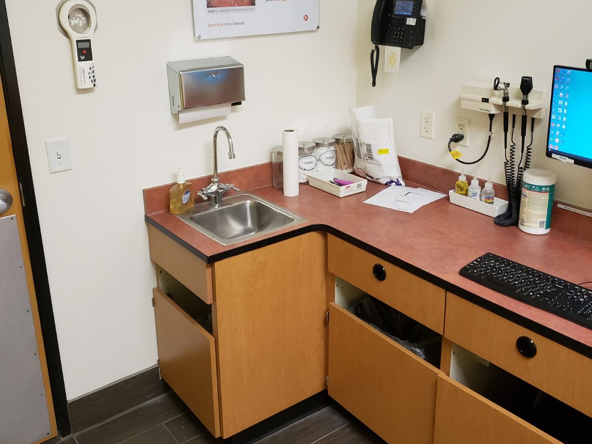 A view of the Rockwall Banfield exam room
