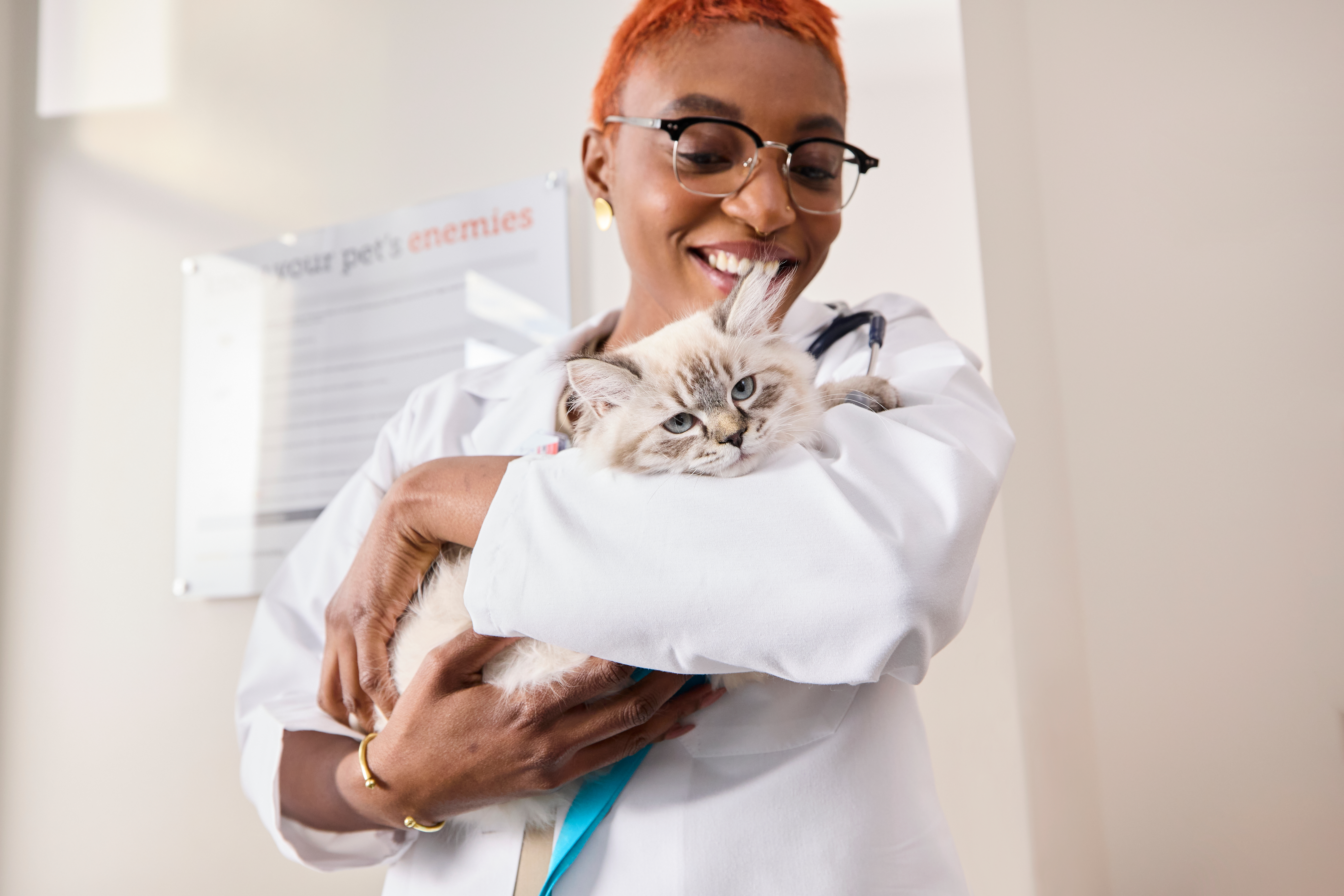 Kiera Kienle, DVM, holds a gray cat after an examination
