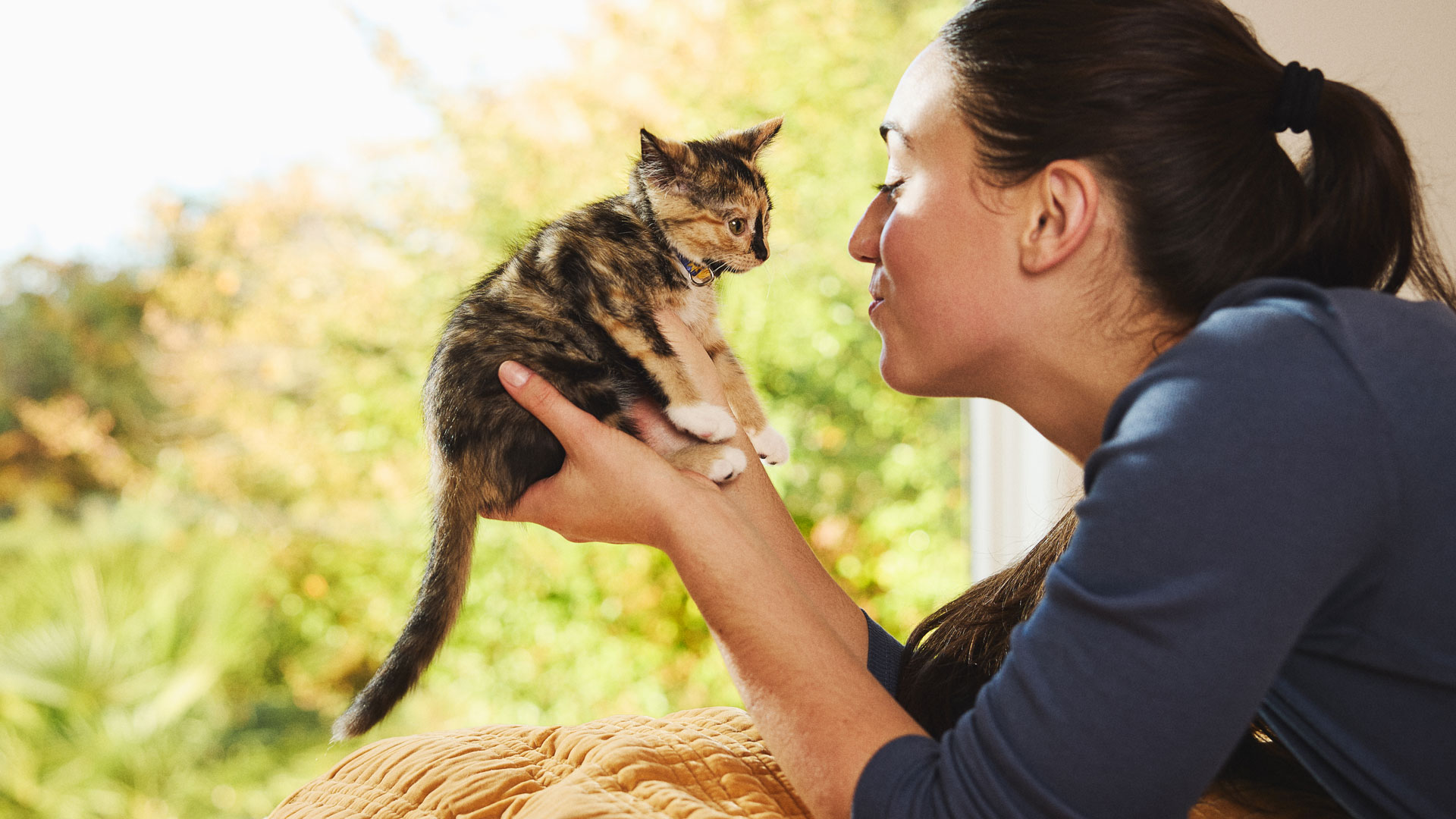 A woman holding a small Calico kitten