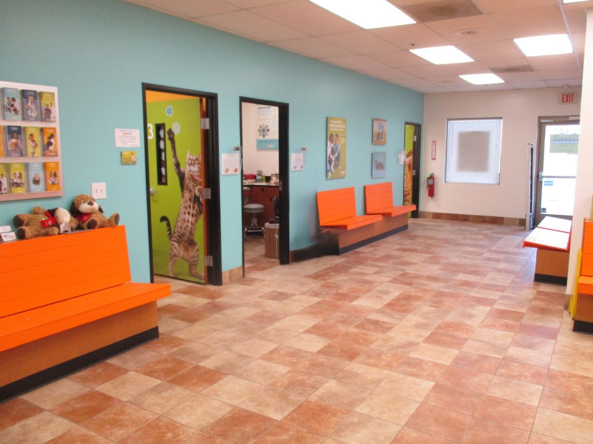 The East Plano Banfield hospital exam entrances