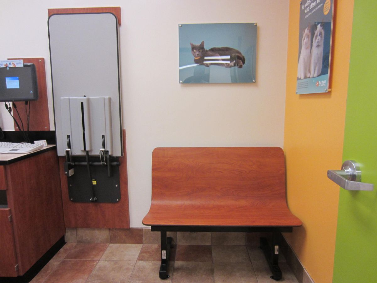 An alternate view of the East Plano Banfield exam room