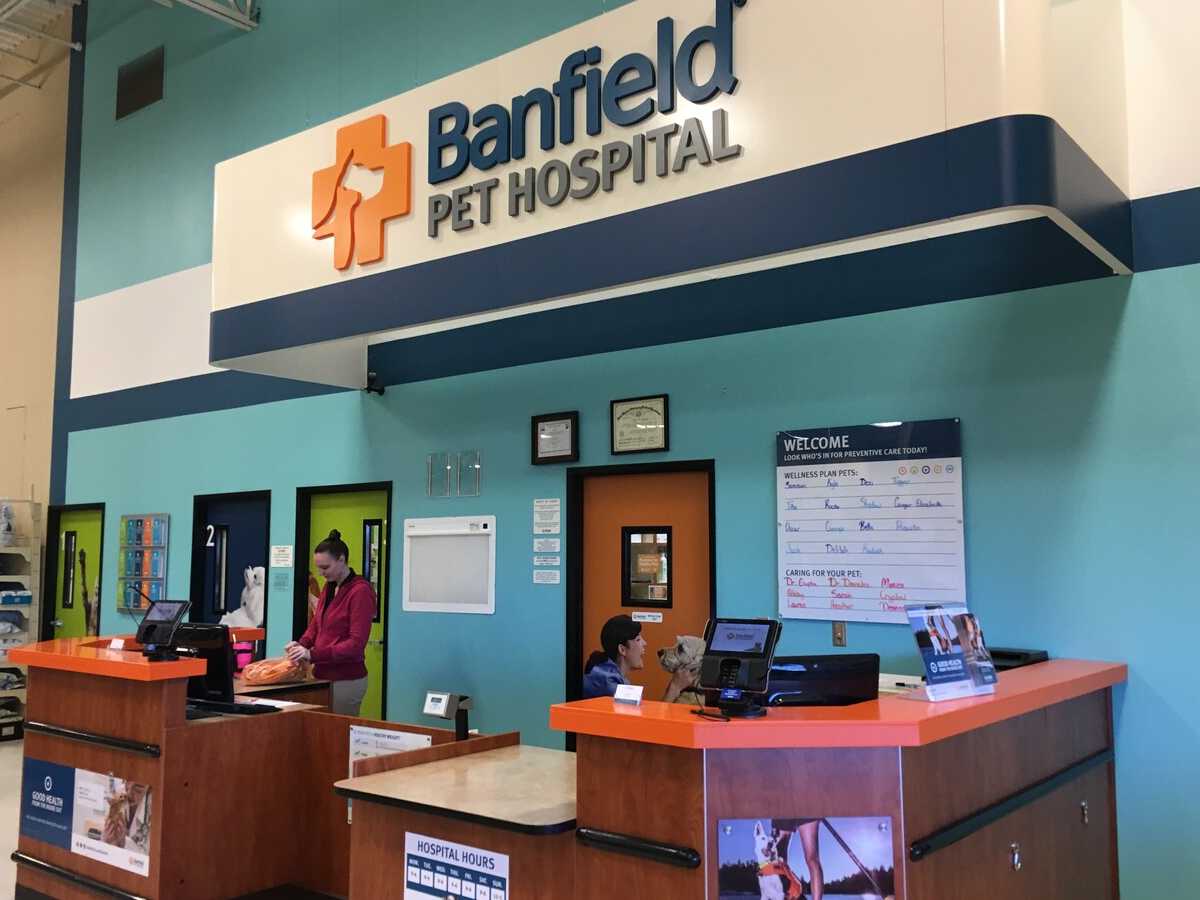 The Banfield - Denton hospital check-in and front desk
