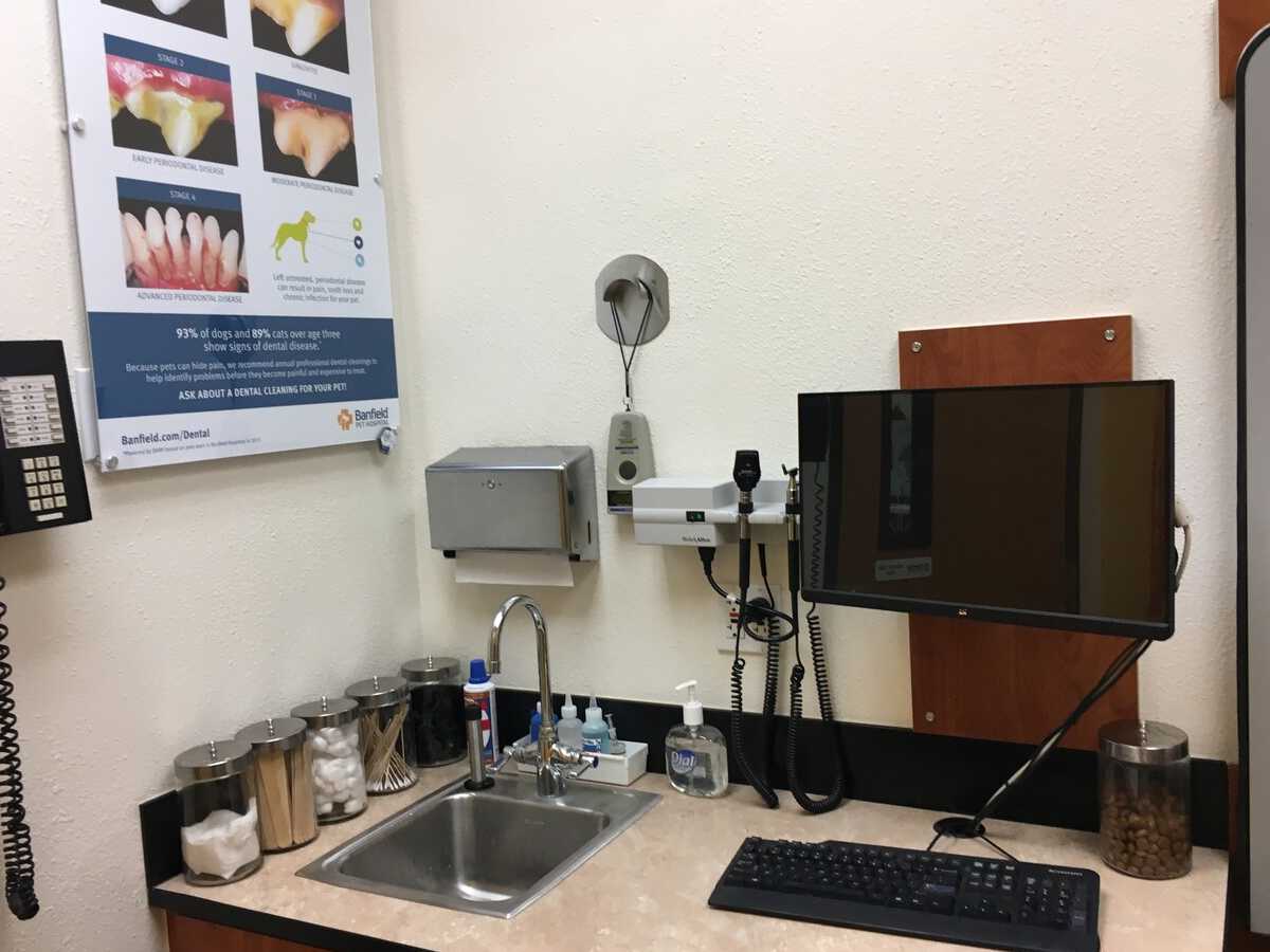The Banfield - Denton exam room and equipment