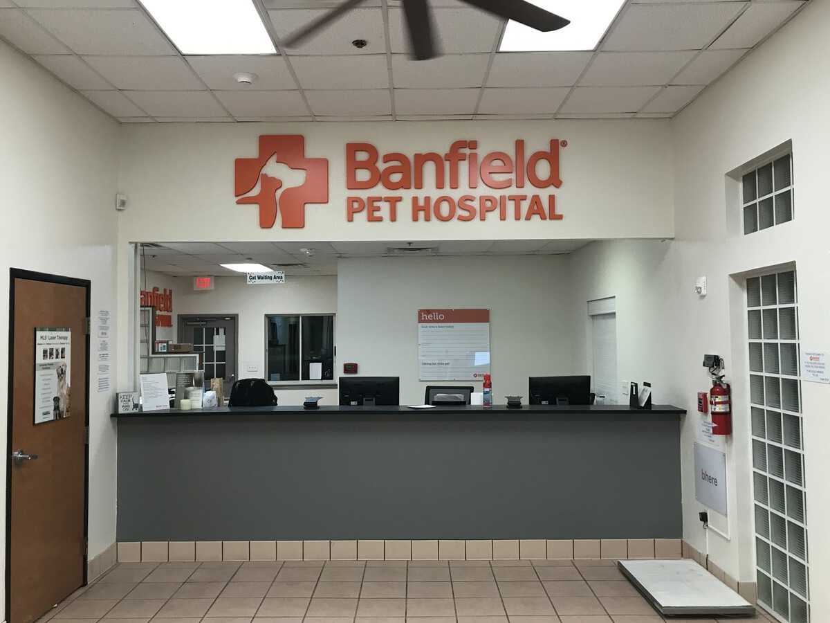 The Mesquite Banfield front desk and check-in area