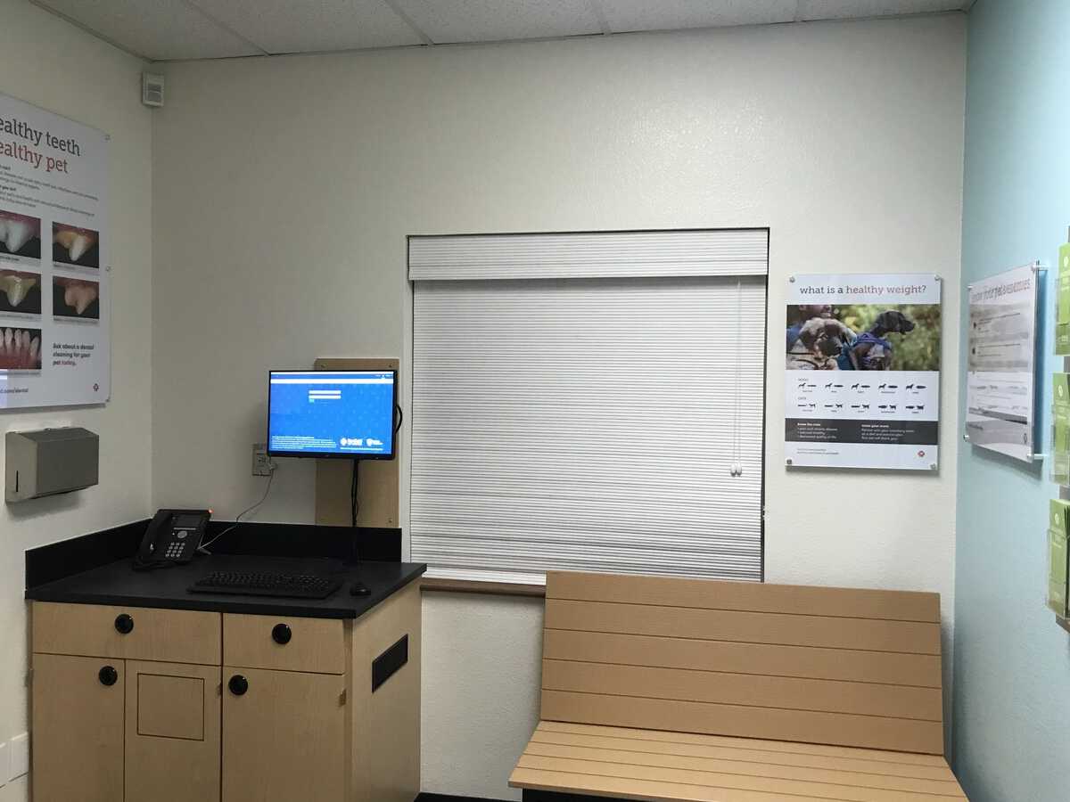 A view of the Mesquite Banfield hospital exam room
