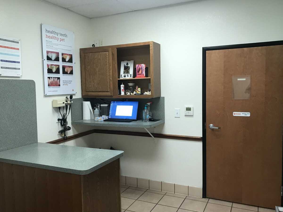 A view of the Banfield - Mesquite exam room and table