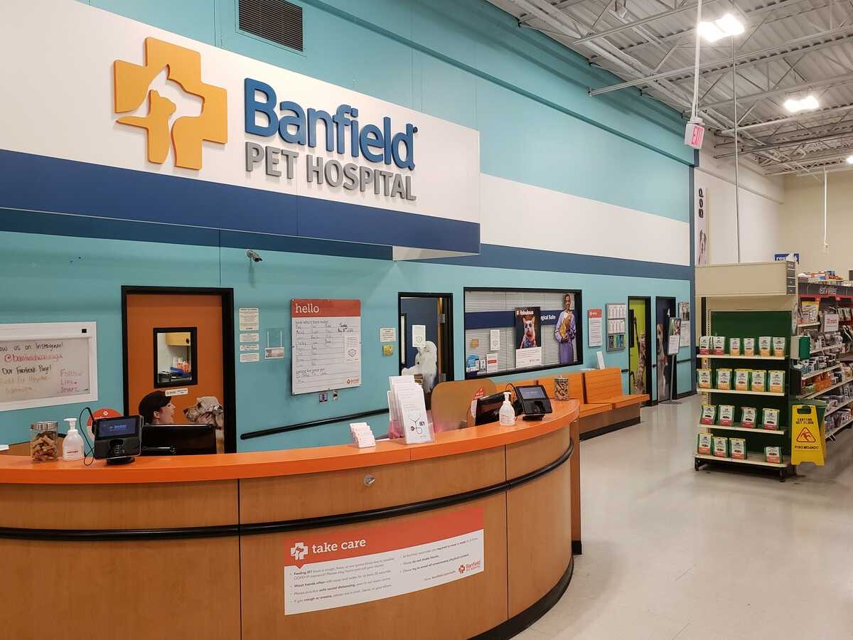 The Watauga Banfield front desk and check-in area