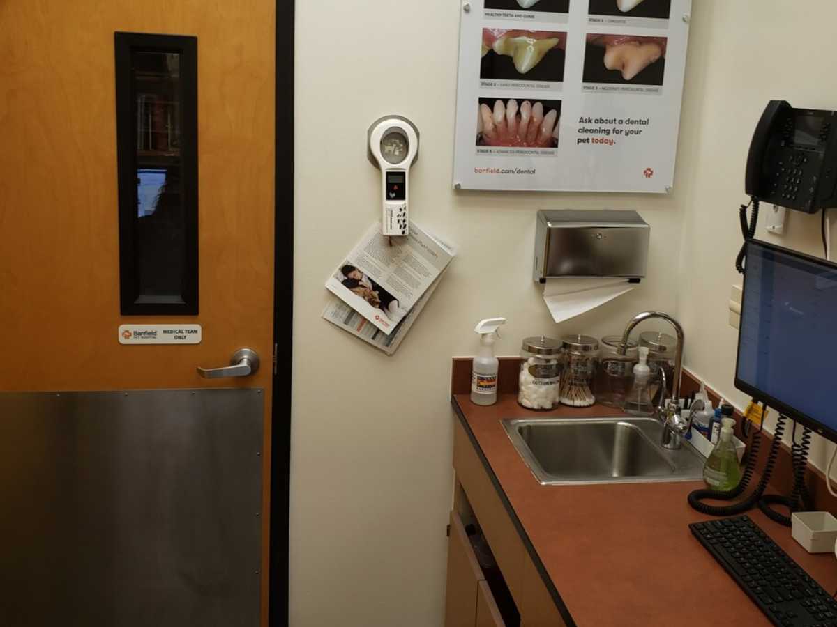 The Banfield - Watauga exam room view