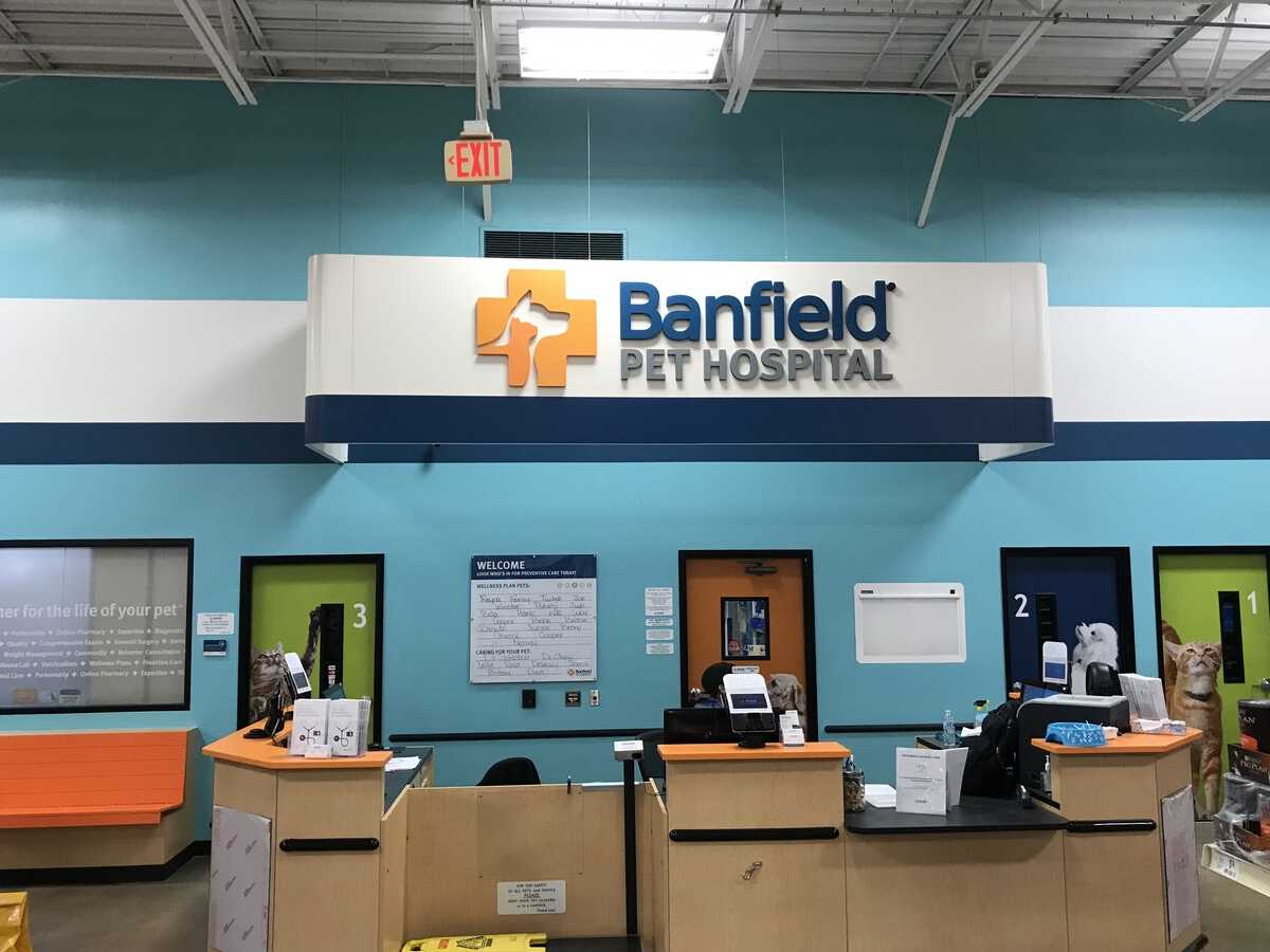The Dallas N Banfield hospital check-in