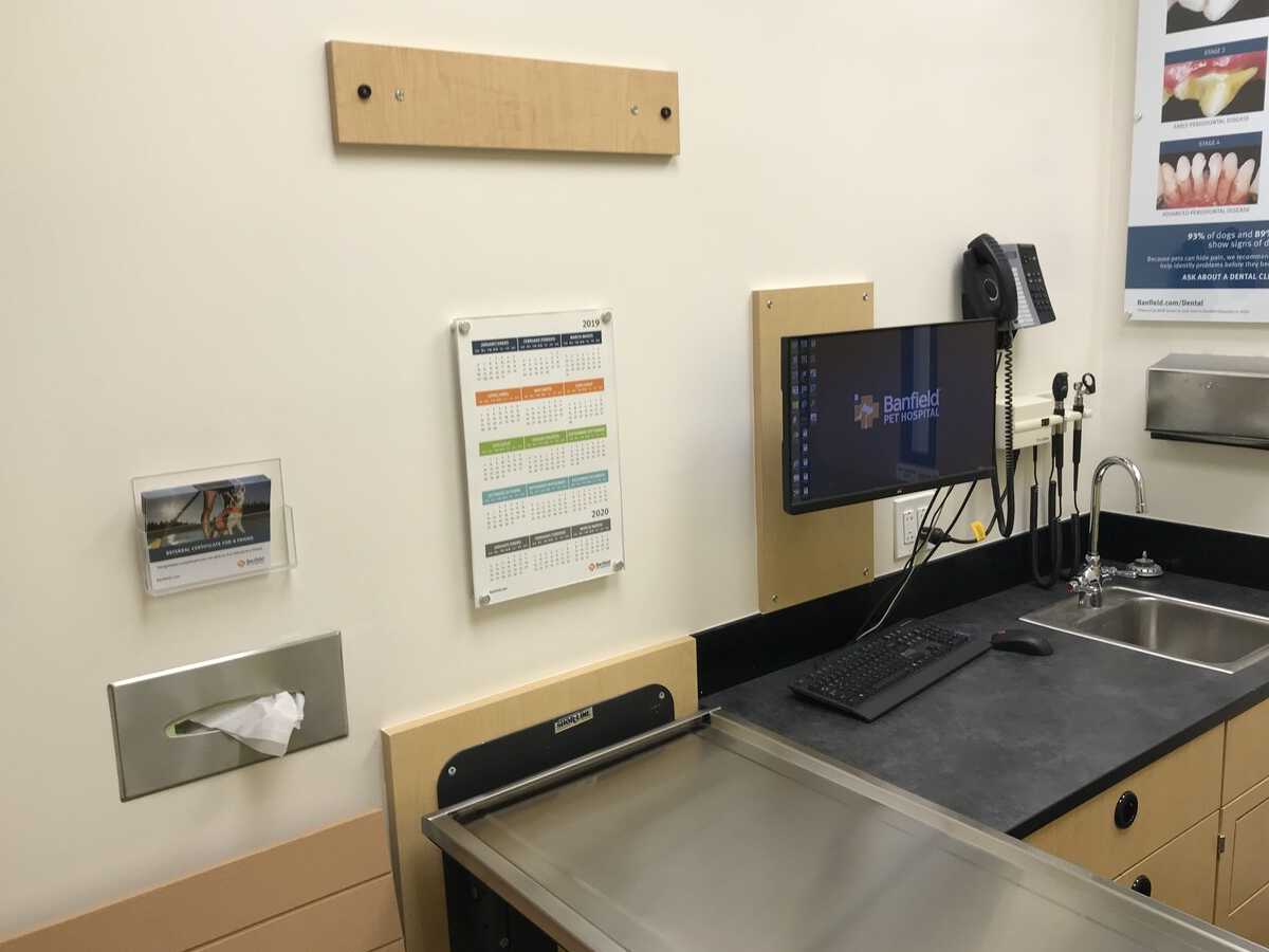 The Dallas N Banfield exam room and table