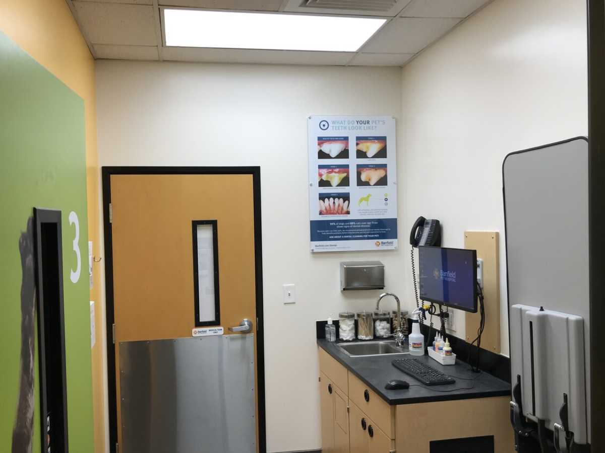An alternate view of the Dallas N Banfield exam room