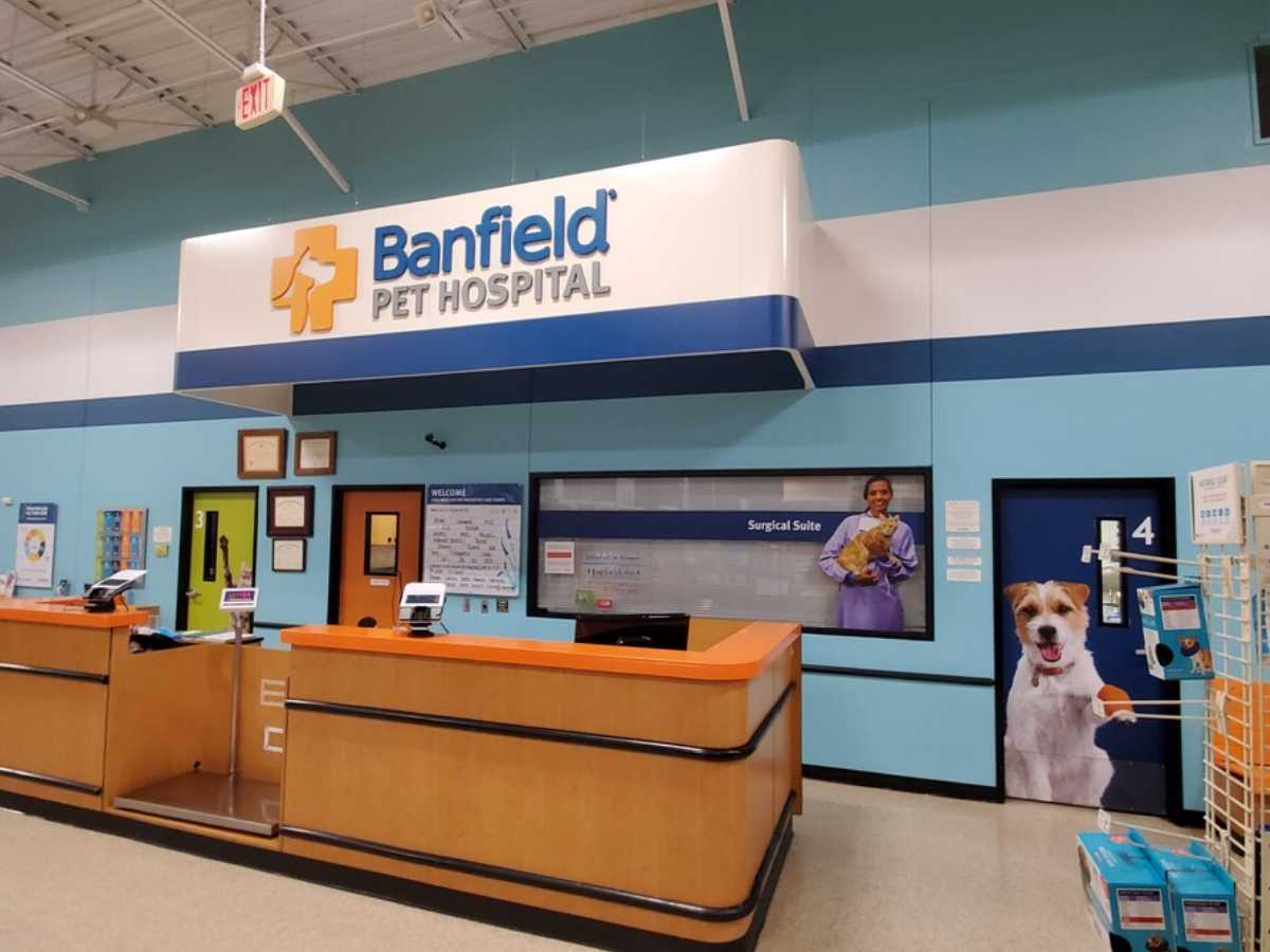 The Flower Mound Banfield check-in area