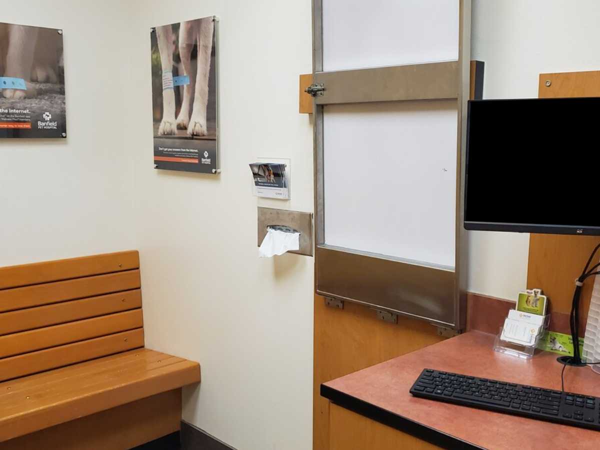 Another view of the Flower Mound Banfield exam room