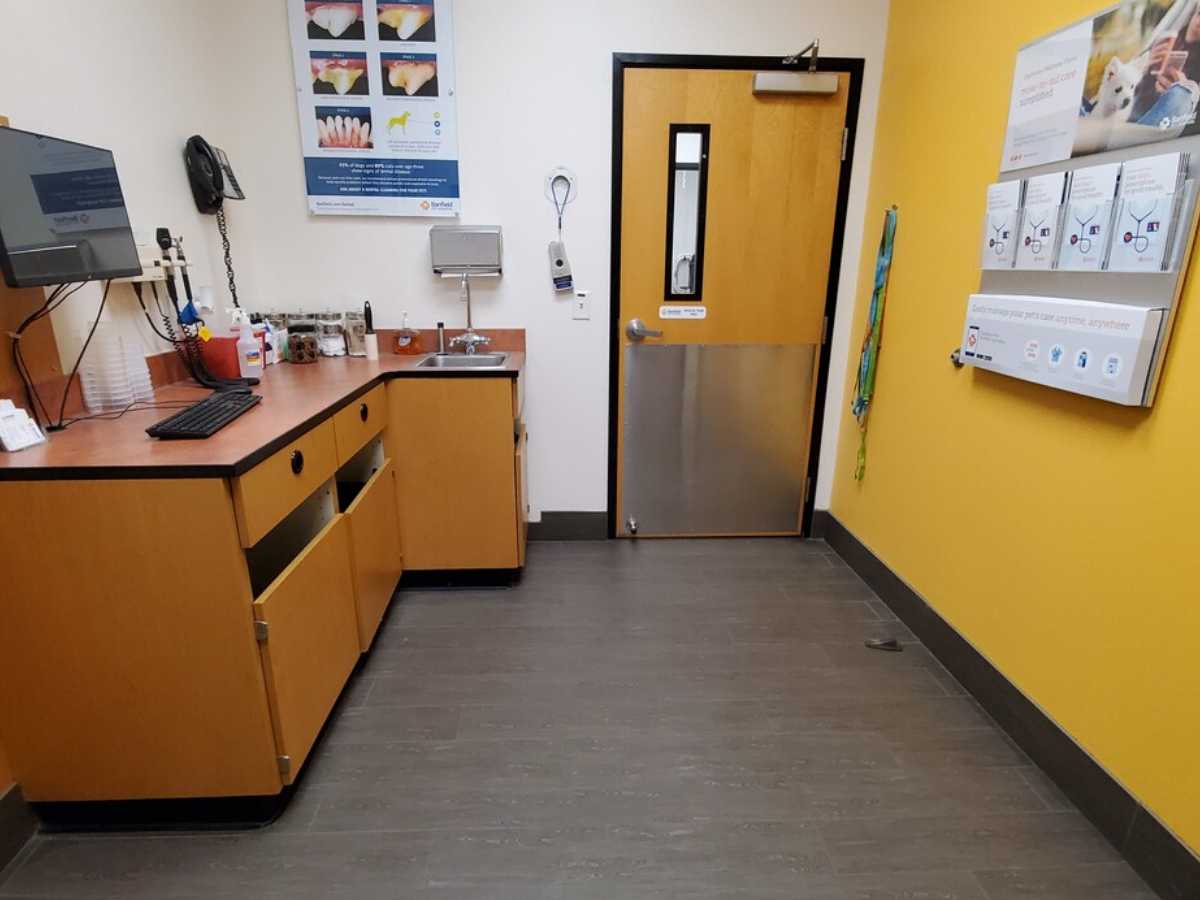 Another view of the Flower Mound Banfield exam room