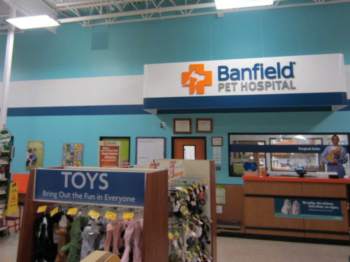 The front desk at the Banfield - Euless hospital