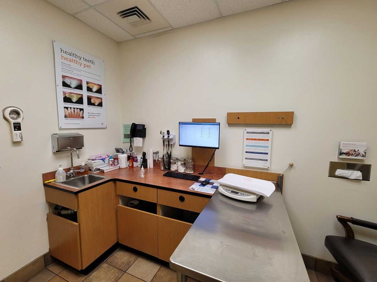 The Euless Banfield hospital exam room and table