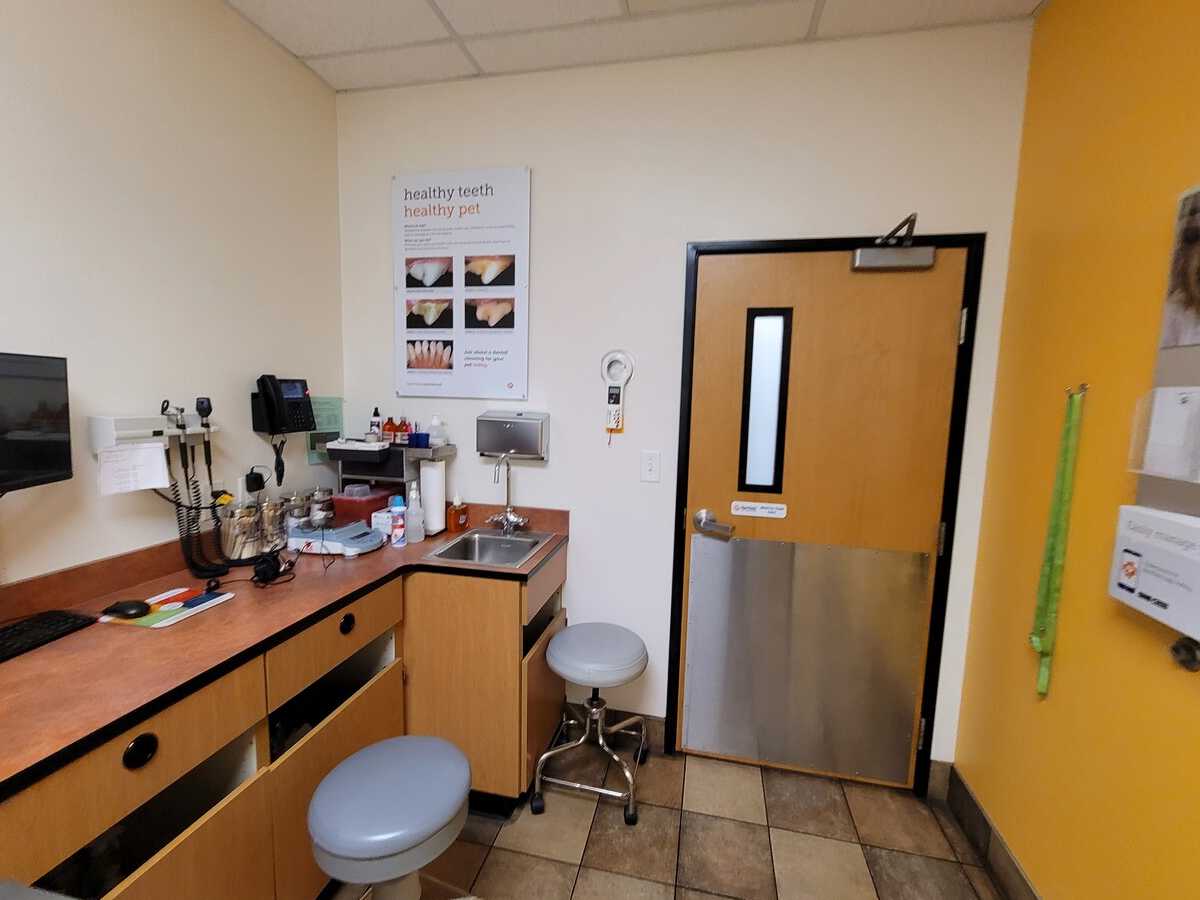 Another view of the Euless Banfield exam room