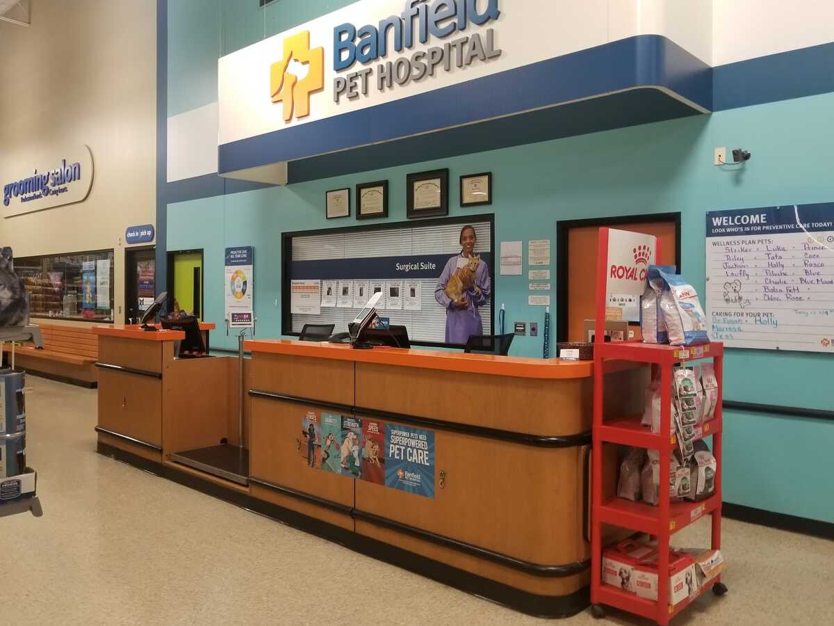 The Mesquite Banfield front desk and check-in