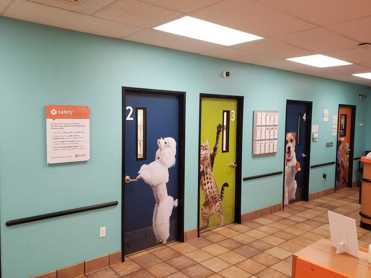The Alliance Town Center Banfield exam room entrances
