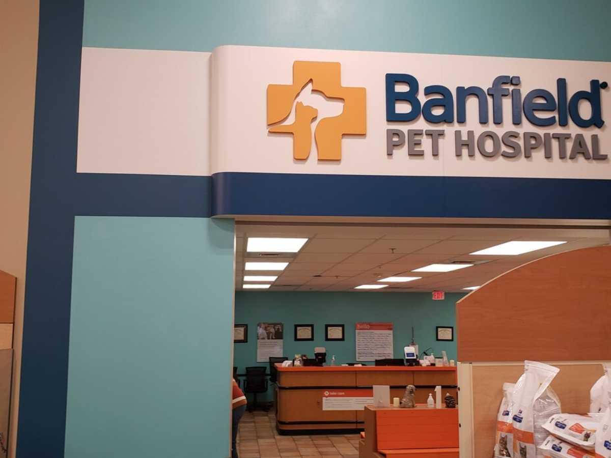 The Alliance Town Center Banfield waiting room and desk