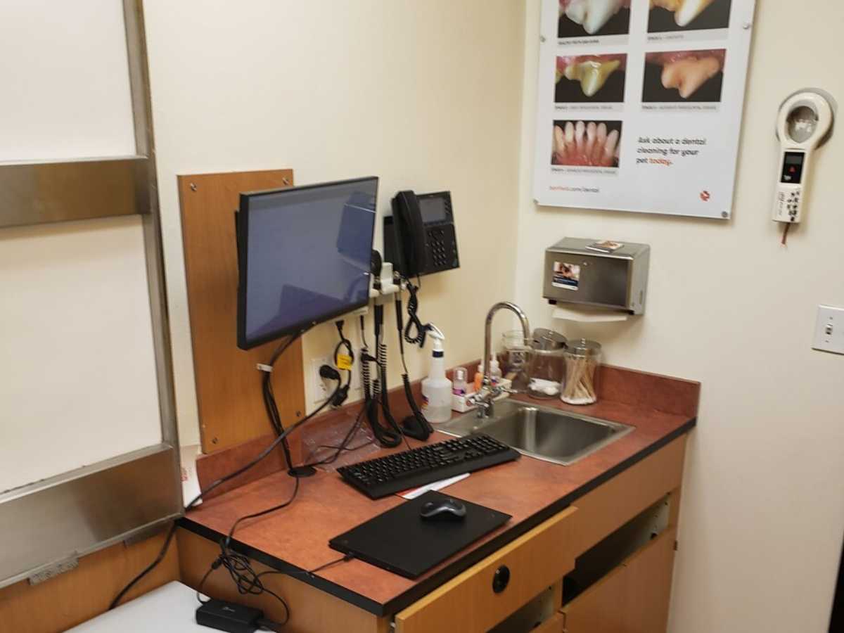 The Banfield - Alliance Town Center exam room view