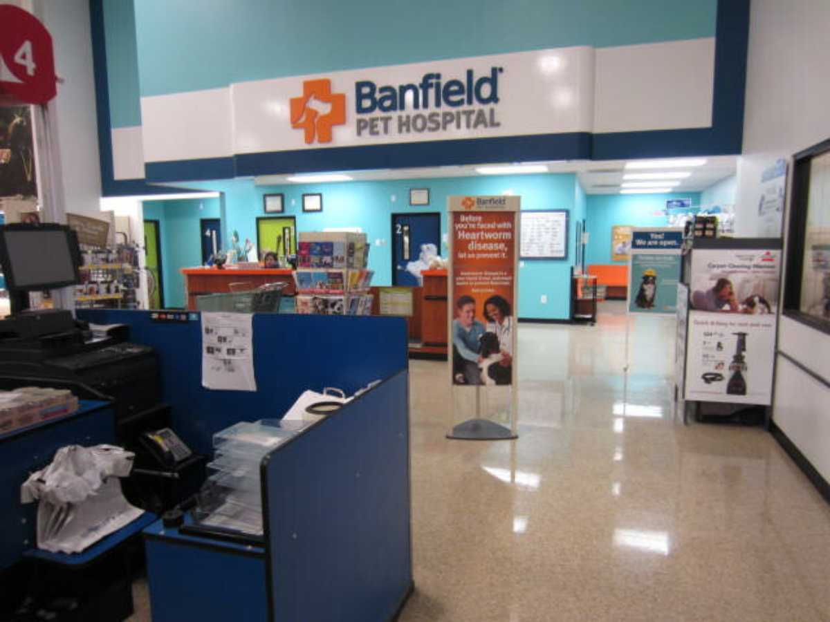 The Banfield - Southlake front desk and front area