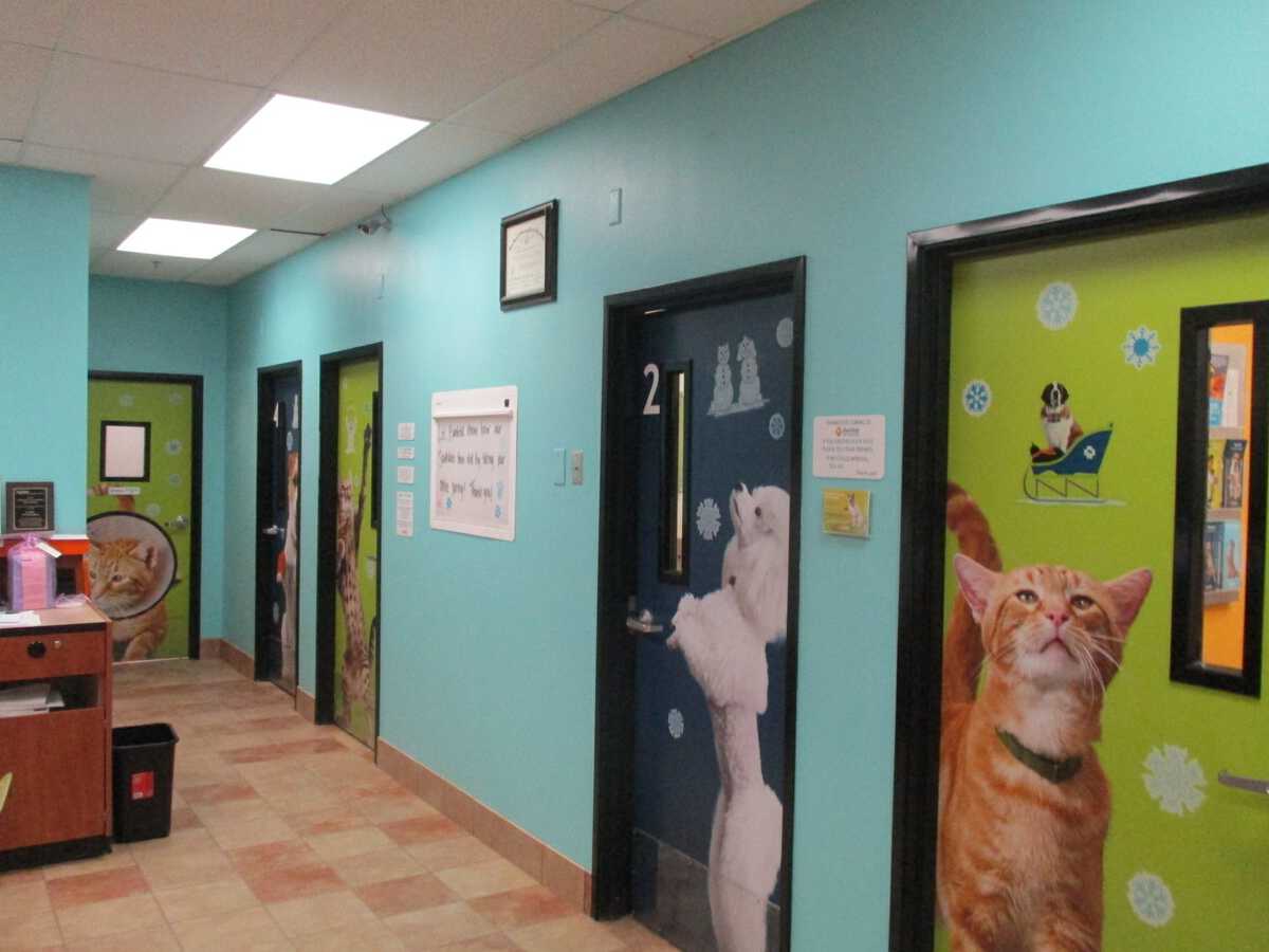 The Southlake Banfield hospital exam room doors